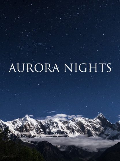 Aurora Nights Steam Gift