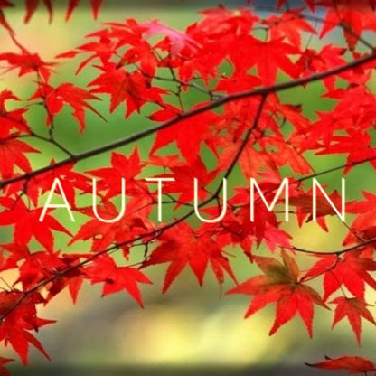 Autumn Steam CD Key