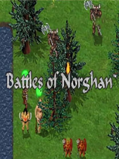 Battles of Norghan Steam CD Key