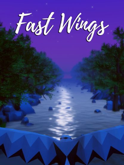 Fast Wings Steam CD Key