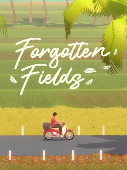 Forgotten Fields Steam CD Key