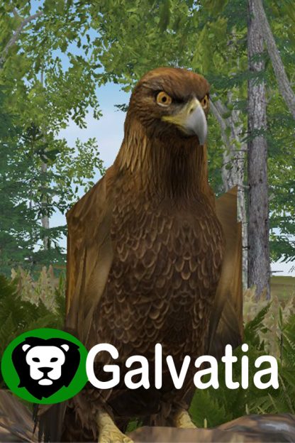 Galvatia Steam CD Key