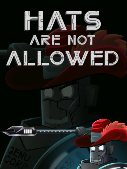 Hats Are Not Allowed Steam CD Key