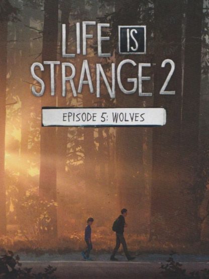 Life is Strange 2 - Episode 5 Steam CD Key