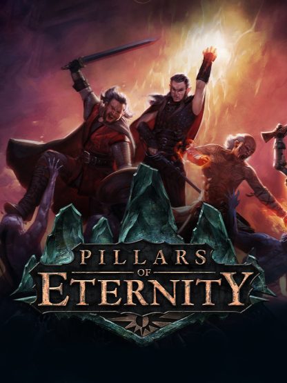 Pillars of Eternity Hero Edition EU Steam CD Key