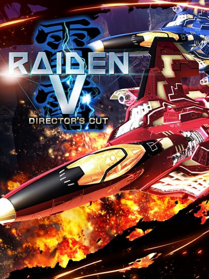 Raiden V: Director's Cut EU Steam CD Key