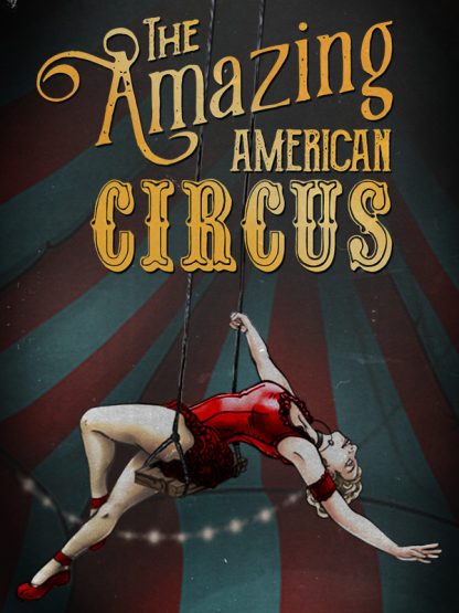 The Amazing American Circus Steam CD Key