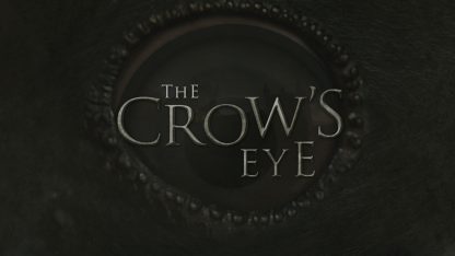 The Crow's Eye Steam CD Key