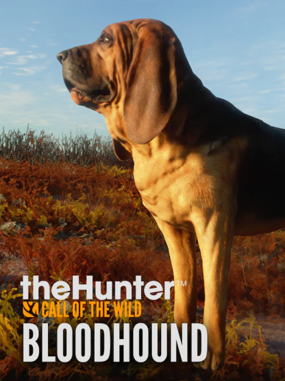 theHunter: Call of the Wild - Bloodhound DLC Steam CD Key