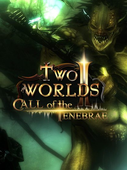 Two Worlds II HD: Call of the Tenebrae Steam CD Key